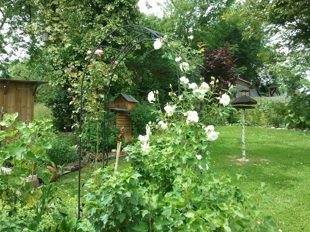 Chiligarten Reutlingen