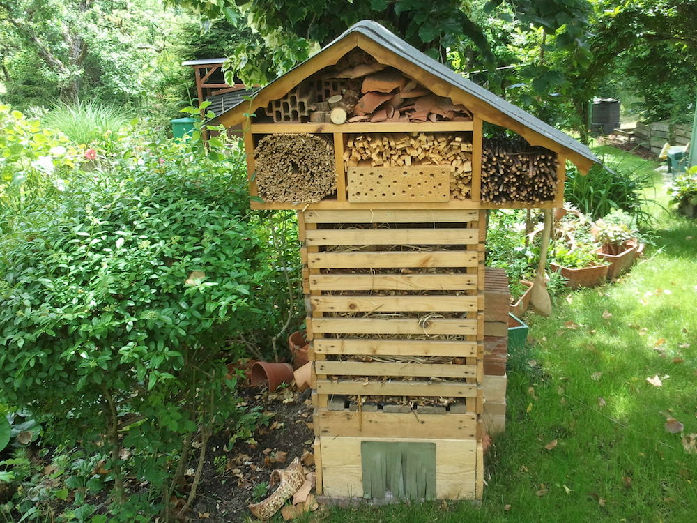 Chiligarten Reutlingen