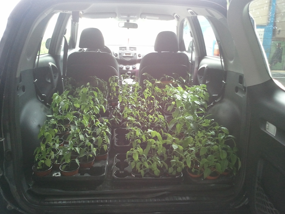 Chiligarten Reutlingen