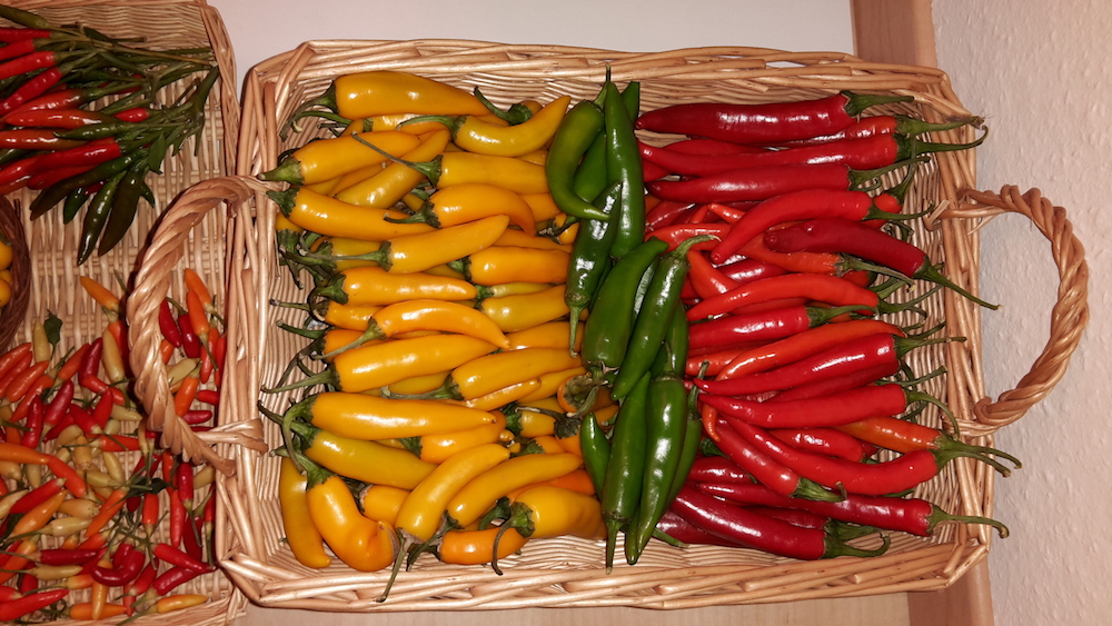 Chiligarten Reutlingen